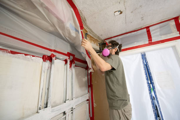 Best Emergency Mold Remediation  in Arlington, TX