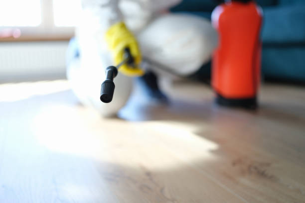 Best Crawl Space Mold Remediation  in Arlington, TX