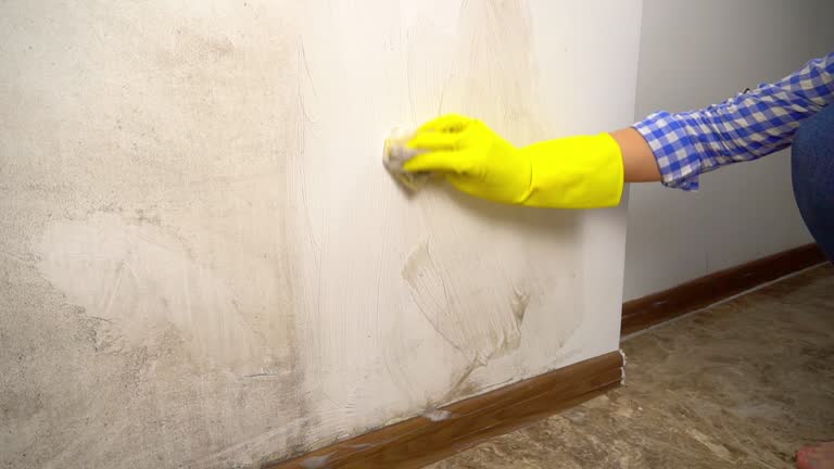 Best Post-Construction Mold Inspection  in Arlington, TX